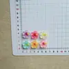 Acessórios de resina de flor translúcida brilhante simulada para clipes de franja de menina com cola de creme DIY, sapatos com furos e acessórios de chaveiro