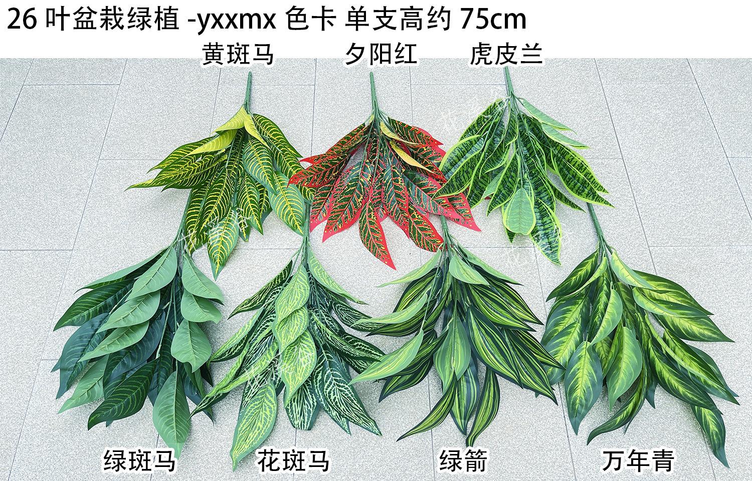 26叶盆栽绿植-yxxmx 色卡 花溪谷.jpg