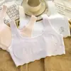 Periodo de Desarrollo de Sujetador para Niñas Ropa Interior Segunda Etapa Niñas Estudiantes Niñas de Secundaria Sujetador con Copa Fija Sujetador Tipo Tubo