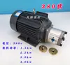 Conjunto de Motor de Bomba de Engranajes Plug-In, Bomba Hidráulica de Motor de Enchufe Directo, Estación de Bomba de Motor de Bomba de Aceite Vertical y Horizontal de 380V