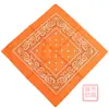 Algodón Puro Poliéster Hip-Hop Deportivo Cinta de Flor de Anacardo Bufanda Cuadrada Mascarilla de Montar para Hombres y Mujeres Bufanda Protectora Solar Bufanda Triangular para Mascotas
