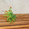 Planta verde, pequena planta em vaso, simulação de decoração para casa, enfeites, Milan Gympanomasa, decoração de mesa, flores artificiais, nova planta em vaso