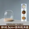 Decoración de Escritorio para el Hogar Flor Inmortal Cubierta de Vidrio en Forma de Bola Arcilla Hecha a Mano Cubierta Antipolvo Mate Burbuja Base de Madera