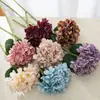 Patrón Musical Noche de Galaxia Hortensia Ins Flores Artificiales Fabricante Flores Falsas Plantas Verdes Venta al por Mayor Decoración de Bodas Manualidades
