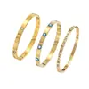 Set de Pulseras de Ojo de Diablo de Circonita Simple, de Moda, Elegante, Moderno y Versátil para Niñas, Pulsera de Acero de Titanio de Alta Gama