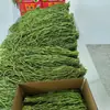 Novedades de este año: Gongcai Seco, Musgo Seco, Verduras Deshidratadas, Gongcai para Hot Pot, Artículos Secos Gongcai, Paquetes de 5 kg al por Mayor