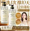 Beauty Road Aceite de Camelia con Sal Marina Control de Grasa Voluminoso Anti-Picazón Anticaspa Hidratante Suave Fragancia Champú Crema Reemplazo de Cabello