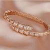 Pulsera Nueva de Serpiente Incrustada con Diamantes, Pulsera Lisa de Hueso de Serpiente, Regalo Versátil para Novia