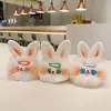 Horquilla de amor hecha a mano Llavero de peluche de conejo Colgante de bolsa de dibujos animados creativo famoso en Internet Joyería de regalo para estudiantes