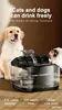 Fuente de Agua para Gatos Ultra Silenciosa con Dos Modos de Flujo, Cápsula de Filtro de Tamaño Grande Fuente de Agua para Mascotas, 4.5L Nivel de Agua Visible Dispensador de Agua para Perros para Gatos y Perros