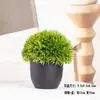 Plantas Verdes Simples Suculentas de Plástico em Vaso Ornamento para Sala de Estar Mesa de Jantar Flores Artificiais Decorações Ornamento Flores Biomórficas
