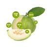 Secado por aspersión polvo de guayaba polvo original de guayaba polvo de frutas y verduras polvo de fruta de guayaba polvo de fruta de guayaba