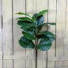 Ficus Lyrata Artificial Rama de Imitación de Alta Calidad Decoración de Planta Arreglo Floral Follaje Vegetación Proyecto de Paisajismo Decoración del Hogar