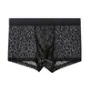 Ropa interior de malla de seda helada para hombre de verano, completamente calada, ligera, calzoncillos boxer sexys, transpirable, sin costuras, de cintura media, venta al por mayor para hombre