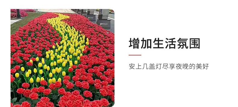 详情页_20.jpg