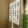 Moldura de Exibição de Pintura de Espécime DIY Presente de Medicina Tradicional Chinesa Campus Pintura Decorativa de Medicina Tradicional Chinesa Produção Artesanal Ensino Cultural e Criativo