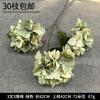 Decoración de Flores Artificiales Verdes Material de Flores de Hoja de Manzana Flor Exterior Planta Verde Hermoso Arreglo Chen Simulación de Hoja de Tortuga Arte Floral para Boda
