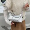 Bolso de Cadena Casual y Sencillo para Mujer, Nuevo Estilo Primavera 2026, Bolso de Hombro Cruzado de Lujo de Gama Alta de Nicho