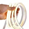 Tira de luces LED de alto brillo de 110V, impermeable para exteriores, para balcón, jardín, decoración del hogar interior, especialmente diseñada para Taiwán y Estados Unidos, iluminación ambiental