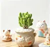 Combinación de Plantas Suculentas para Macetas Pequeñas de Interior con Macetas de Cerámica, Tierra, Cactus de Tallo Viejo, Plantas Verdes Incluyendo Plantas en Maceta y Otras Variedades