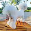 Suéter de Perro de Peluche Otoño e Invierno para Bichón, Schnauzer, Pomerania, Blanco de Cuello Alto Casual Protección de Barriga para Mascota Cubierta de Cuatro Patas