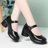 Sapatos Mary Jane Marrons para Mulheres, Salto Grosso, Baixo, Bico Arredondado, Tira Única, Velcro, Para o Trabalho, Sapatos Sociais Profissionais, Sola Macia, Sapatos Femininos da Moda