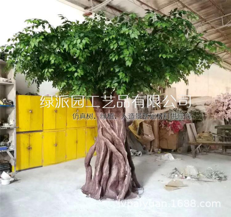榕树072.jpg