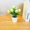 Plantas Envasadas Simuladas, Plantas Envasadas de Flores Falsas, Ornamentos de Flores Artificiais Atacado Novo 7-Bolas de Pinha Grandes, Bonsai Pequeno Fornecimento Transfronteiriço