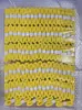 Fita de Grip para Raquete de Badminton em Látex, Fita Plana Absorvente de Suor para Raquete de Tênis, Enrolador Antiderrapante para Cabo de Vara de Pesca, Fita de Amarração para Raquete