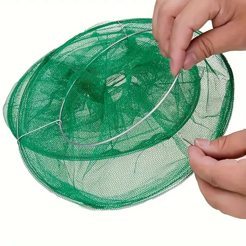 webp.webp (5)