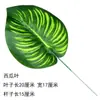 Hoja de Tortuga Falsa, Pieza Única, Hoja Verde Grande, Hoja de Girasol, Hoja Suelta