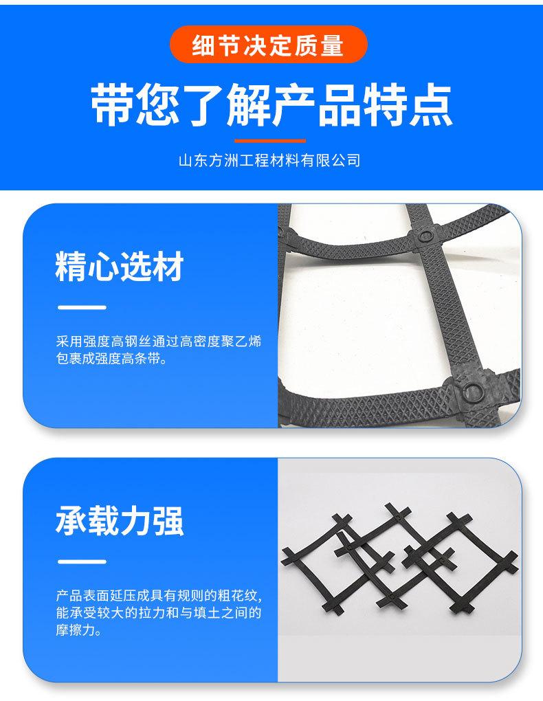 4钢塑土工格栅_06.jpg