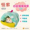 Ninho de Pássaro Hamster Ninho Quente Saco de Dormir de Inverno Casa Ninho de Algodão Ninho Pequeno Casa Urso Dourado Ninho de Rato Papagaio