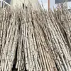 Galho de Bétula Galhos Secos Galhos Secos Árvore de Janela Galhos de Árvore Decoração Arranjo Tronco Árvore Poste Tocoinho de Bétula Galhos de Casamento Paisagismo