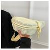 Bolsa de Peito Feminina Estilo Coreano Pequena Simples Fresca Casual Esportes Bolsa de Cintura para Celular Bolsa Transversal para Axila Ombro Textiva