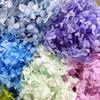 Hortensia Flor Eterna Flores Secas Anna Granel Madera Pétalos de Hortensia Flores Secas Flores Eternas Decoración de Boda Recuerdos Regalos
