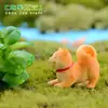 Adornos de paisaje en miniatura, decoraciones DIY de suculentas de perro Akita, figuritas de animales de perro amarillo pequeño, bonsáis creativos, figuritas de resina