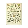 Comercio Exterior Amazon AliExpress Póster Retro Hongo Figura Biológica Pintura Decorativa Núcleo Enseñanza Estudio Sala de Estar Pintura en Lienzo
