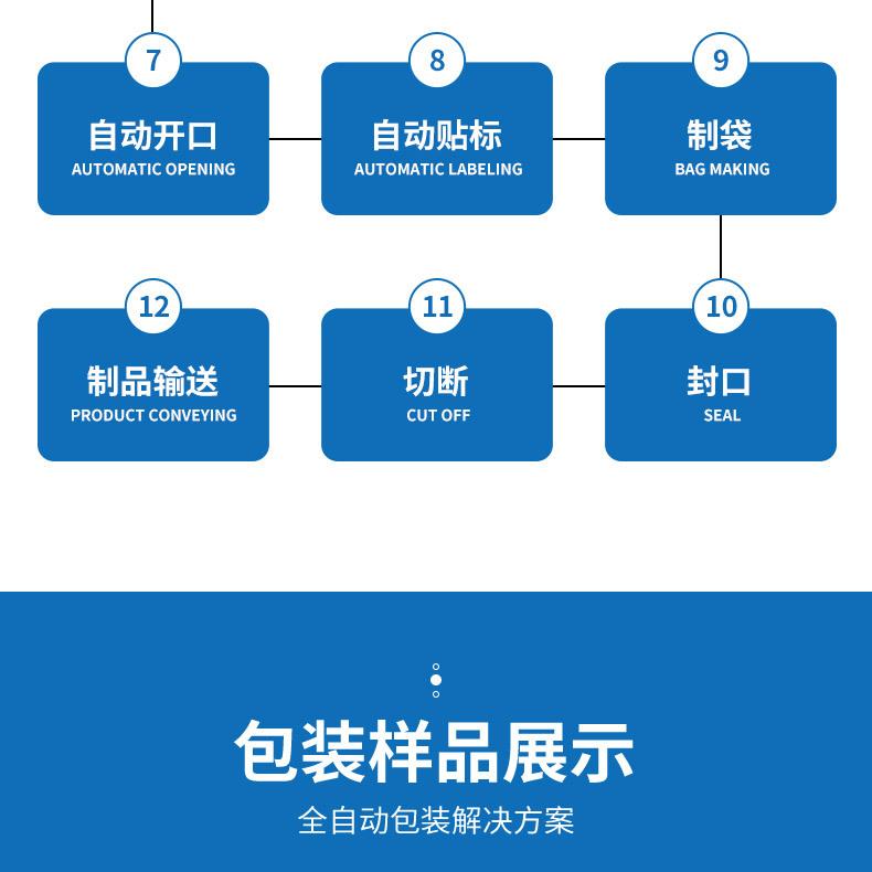 全自动湿纸巾包装机_16