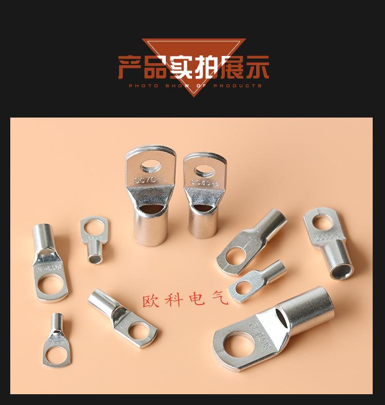 SC铜鼻子1_13.jpg