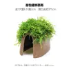 Aquário Musgo Terrário Planta Aquática Paisagismo Planta Real Tanque de Esconderijo para Peixes e Camarões Casa de Camarão Pequeno Ornamento Casa de Esconderijo para Criação de Peixes Pequenos
