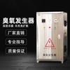 Generador de ozono grande máquina de desinfección de alta concentración fuente de aire fuente de oxígeno tratamiento de agua Industrial acuicultura alimentos