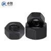 Acero Inoxidable 304 Tuerca Hexagonal Niquelada Galvanizada Tapa de Tornillo de Bloqueo Tuerca Hexagonal Exterior Colección M1.4M33