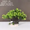 Decoração de Enfeite de Mesa Pinheiro Bem-vindo Pequeno Pinheiro Plantas Verdes Plantas Aquáticas Mini Rochedo Aquário Paisagismo Hotel