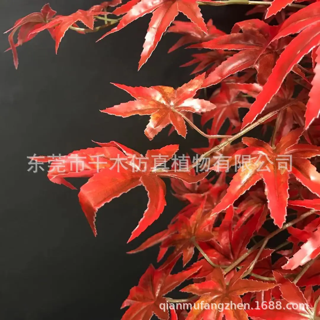 微信图片_201911131156203