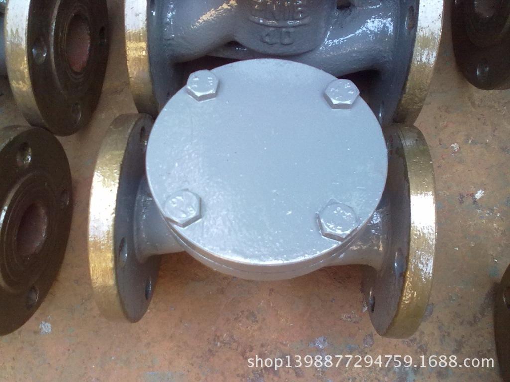 DN40升降式止回阀3