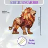 Adornos Colgantes Creativos Sol Pequeño Decoración para el Hogar Atrapador de Animales Plano Amazon Colgantes Decorativos Acrílico Varios Diseños de Osos