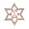Lanhao Moda Coreana Versátil Atmosférica Broche de Estrela de Seis Pontos Totalmente Cravejado com Pérolas Alfinete de Broche Acessórios para Roupas Femininas