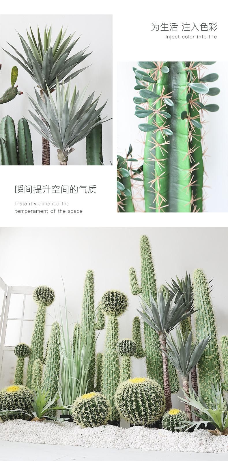 仿真仙人掌种盆系列_07.jpg