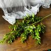 Boda Estilo Coreano con Plantas Verdes Frescas, Decoración de Ramo de Flores Atado a Mano de Graduación, Arreglo Floral, Decoración de Flores Artificiales Estilo Jardín Monet Estilo Bosque